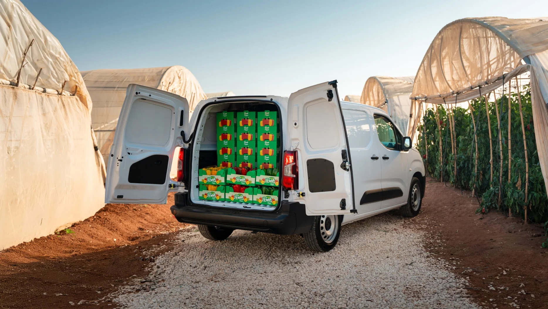 Peugeot Partner con carga